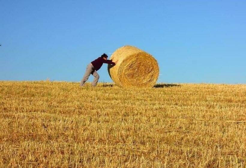 Szálloda Mamaterra Casa Sangiacomo