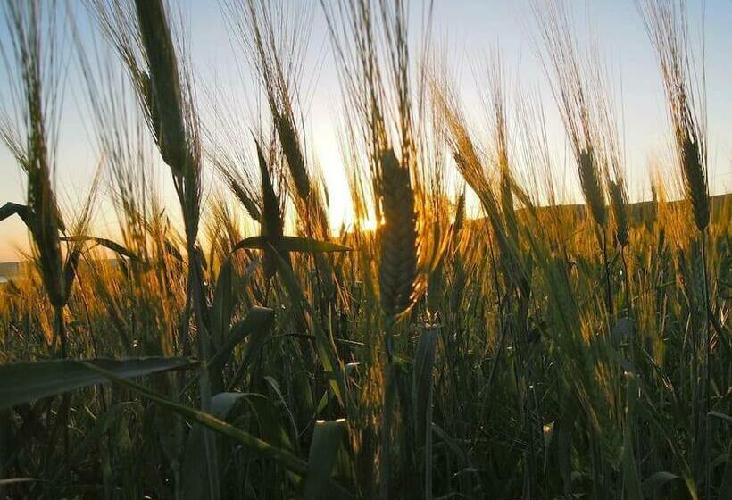 Szálloda Mamaterra Casa Sangiacomo