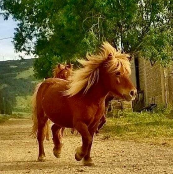 Szálloda Mamaterra Casa Sangiacomo