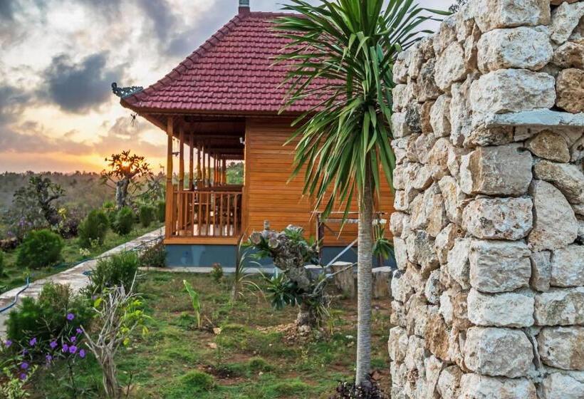 住宿加早餐  The Abisanu Cottage