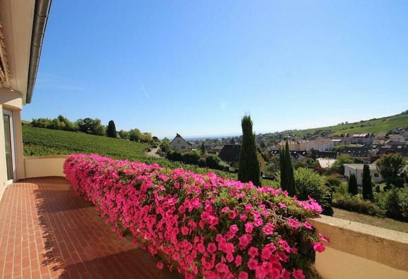 Escapade Au Bube   Vue Exceptionnelle   Nouveau