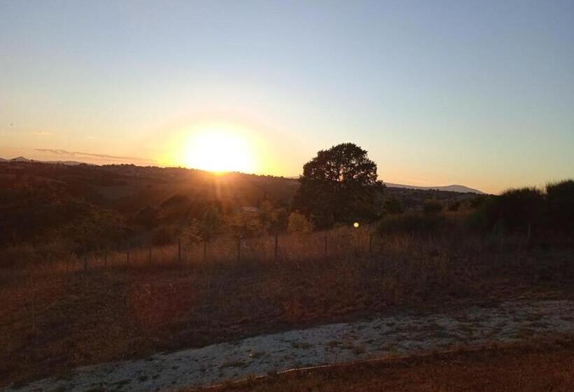 בית מלון כפרי Agriturismo Il Cielo In Terra