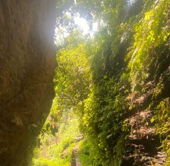 Aagaman   Best Family Hotel In Bandipur