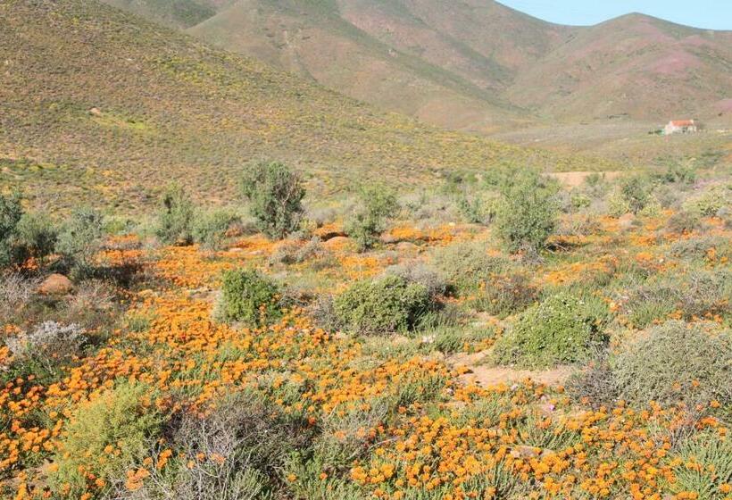 فندق Lankverwacht Gaste Plaas/guest Farm