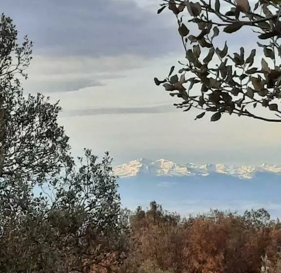 Majatalo Le Lodge Des Chênes