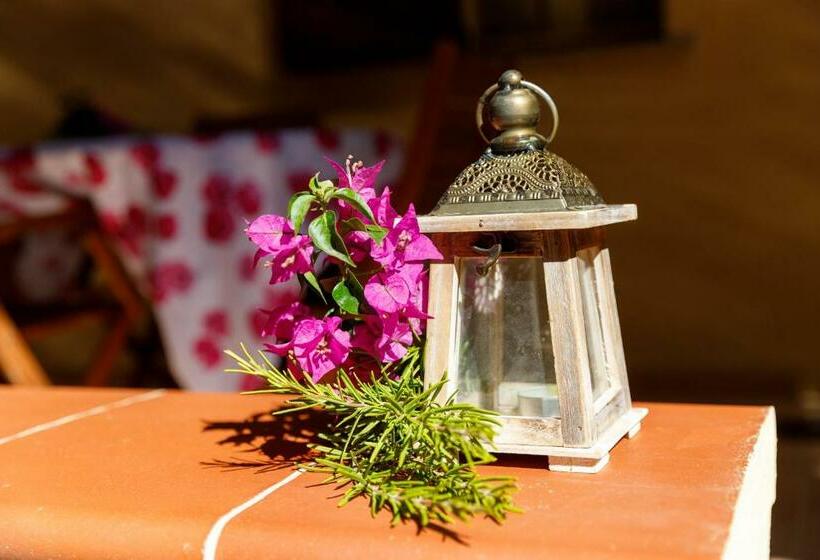 Casa Vacanze Dune E Mare