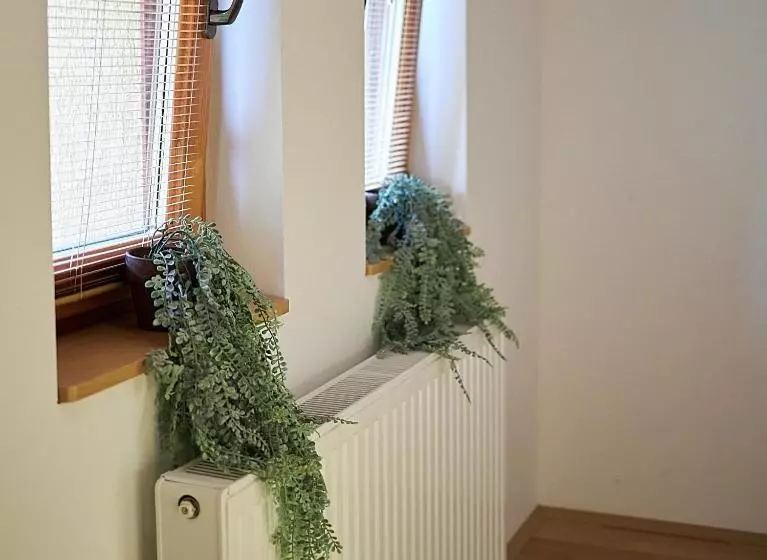 ペンション Klaudia Vendégház