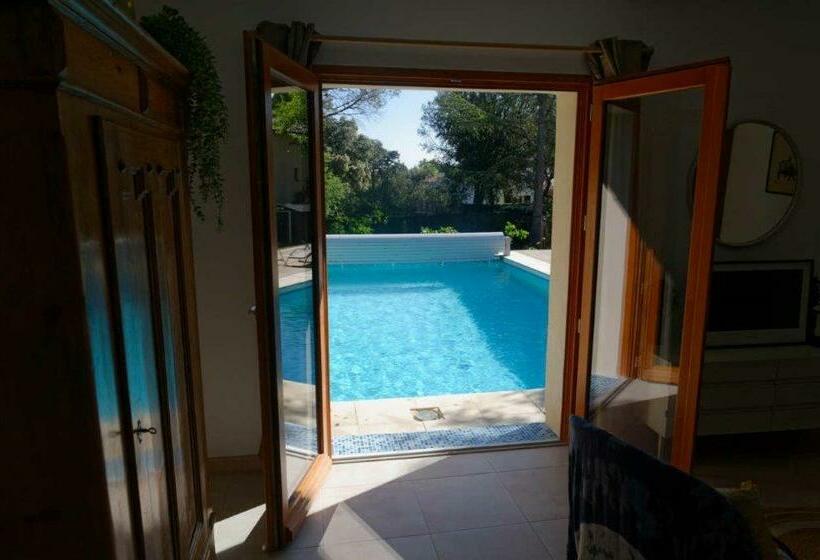 膳宿费 Les Hauts De Saint Siffret