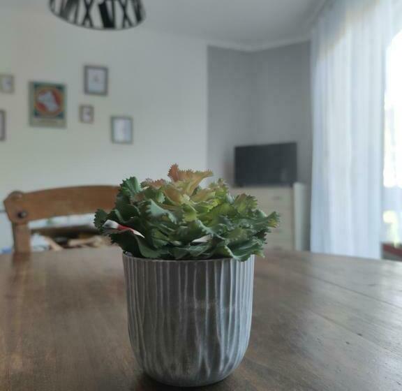 Les Plantades Aveyronnaises