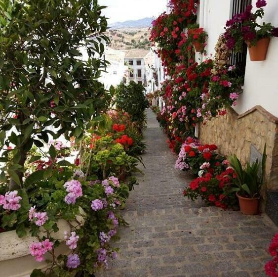 Casa De Las Flores A Picture Perfect Location!