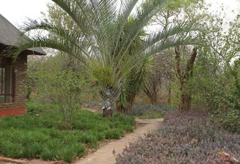 Copacopa Lodge And Conference Centre
