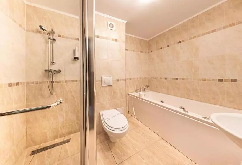 ホテル Crisana Arad