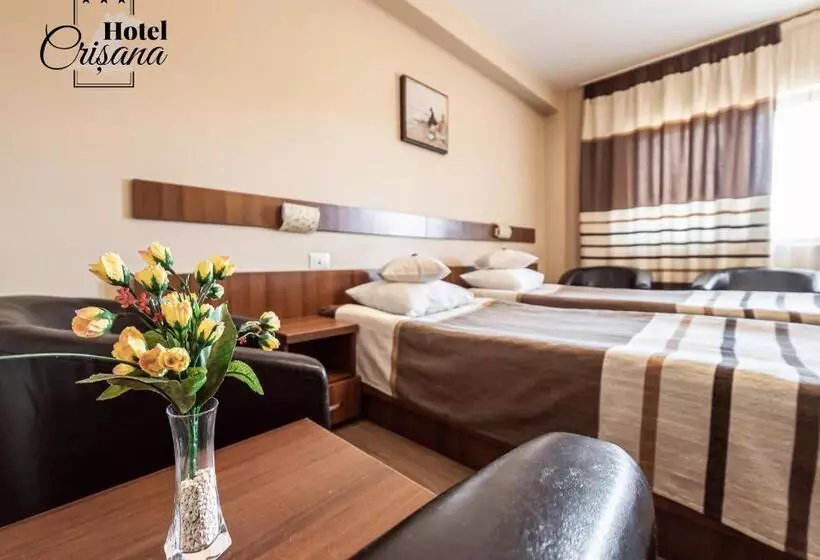 ホテル Crisana Arad
