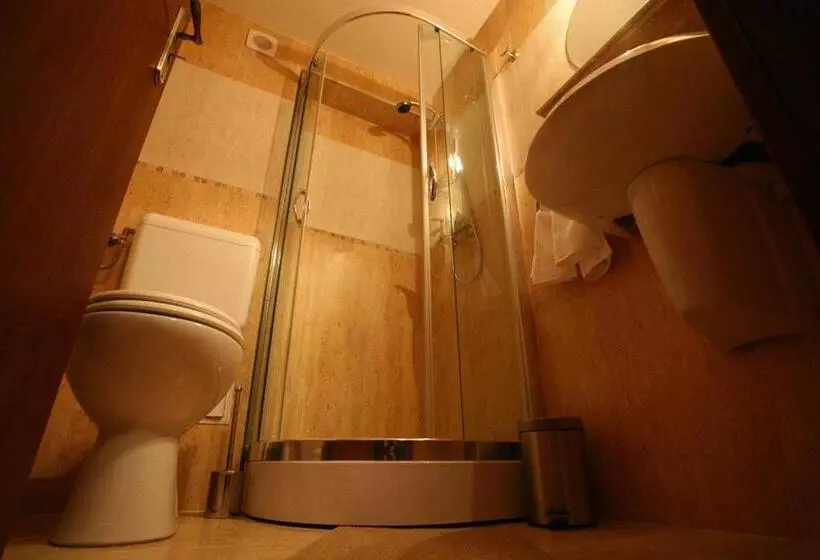 ホテル Crisana Arad