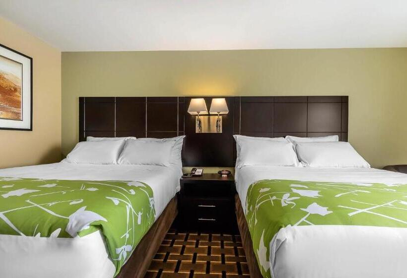 호텔 Econo Lodge Boaz