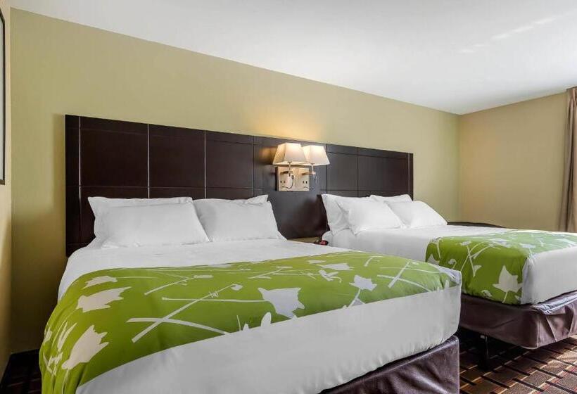 호텔 Econo Lodge Boaz