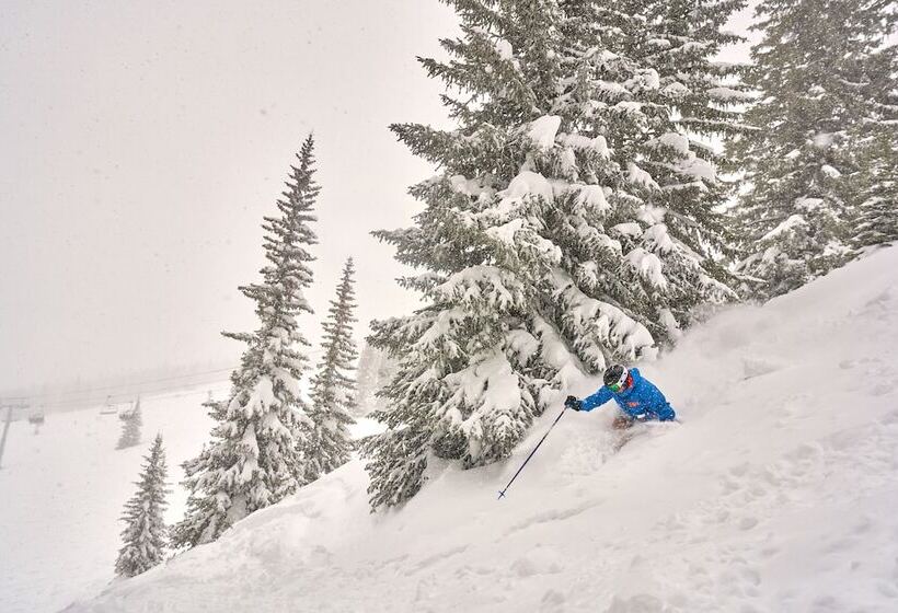 فندق Montaneros In Vail