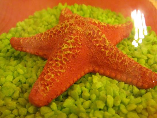 Отель Pálma Panzió és Vendégház