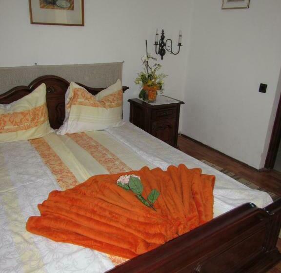 ホテル Torkolat Panzió