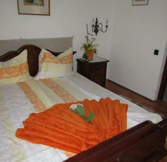 호텔 Torkolat Panzió