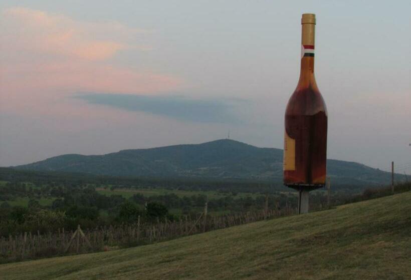 ホテル Torkolat Panzió