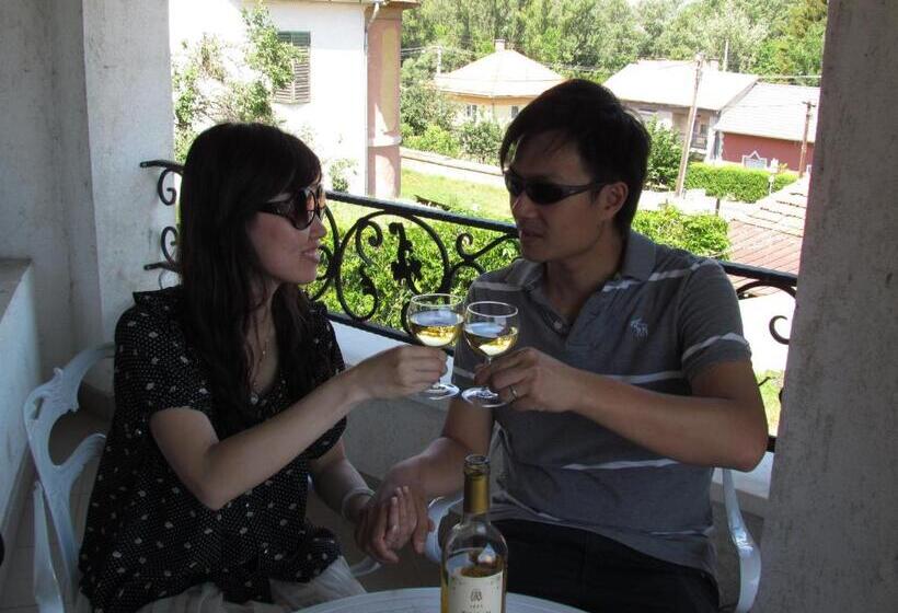 ホテル Torkolat Panzió