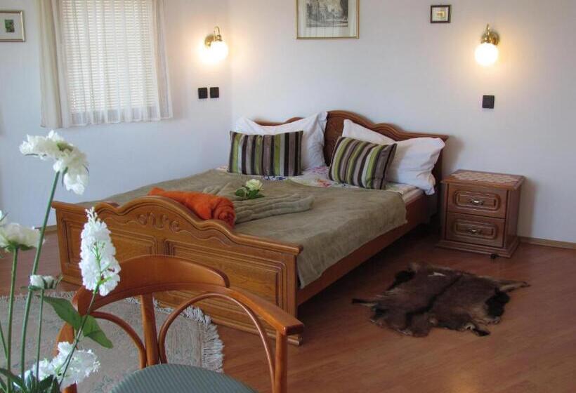 ホテル Torkolat Panzió