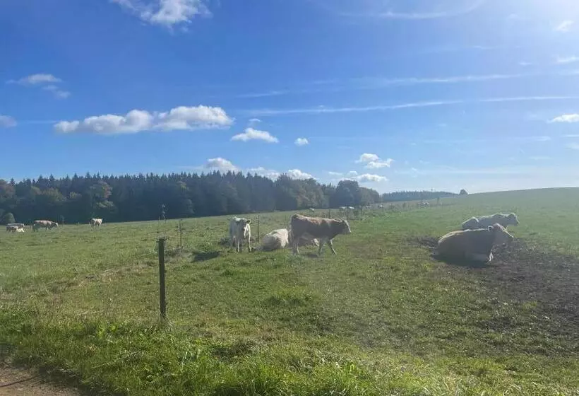 Apartmán Studnice Na Vysočině