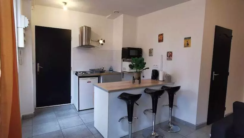 Appartement En Plein Coeur De Mâcon H