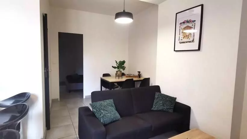 Appartement En Plein Coeur De Mâcon H