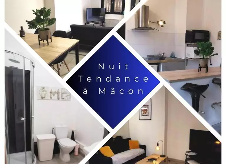 Appartement En Plein Coeur De Mâcon H