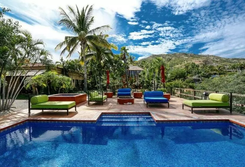 Villa Vida Cabo   Authentic Spacious Ocean View Near Beach & Town