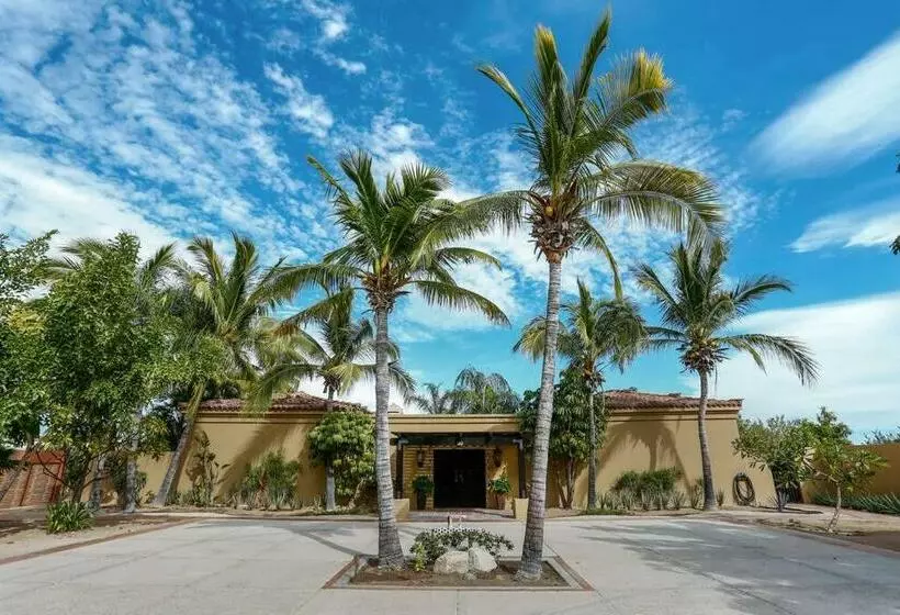 Villa Vida Cabo   Authentic Spacious Ocean View Near Beach & Town