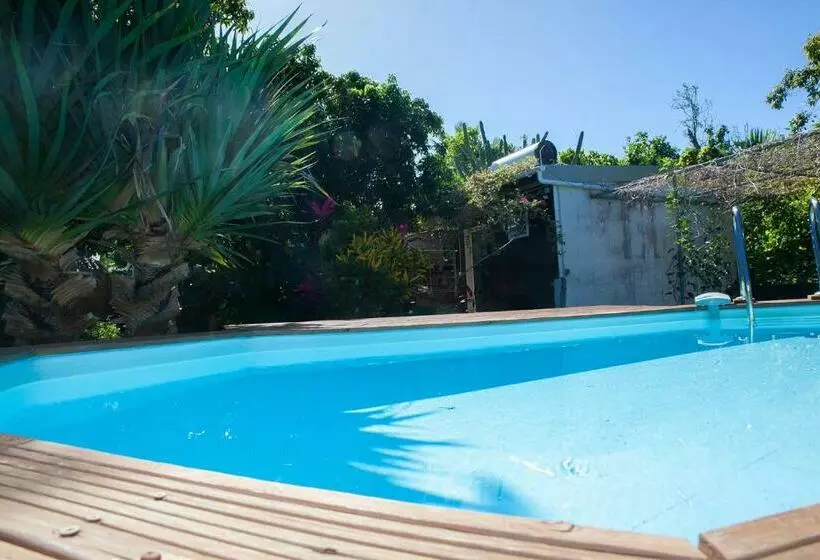 Le Cerisier Côtelé