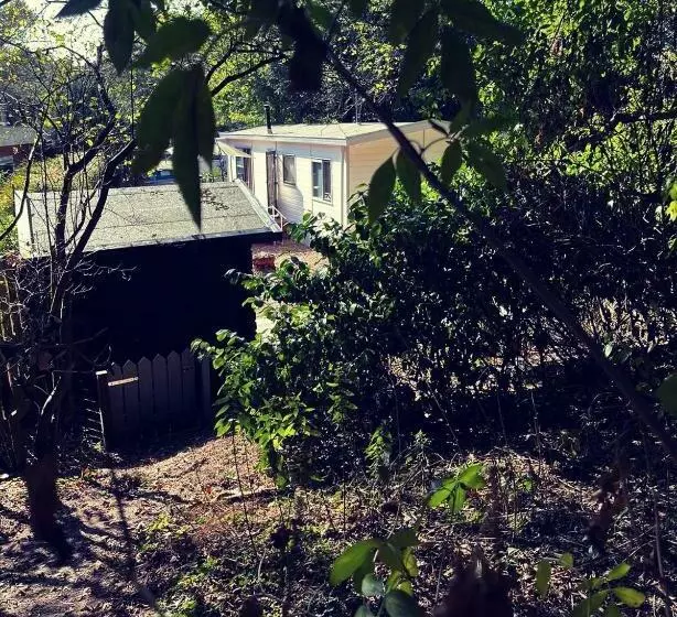 Heerlijk Bos Chalet Met Ongekende Rust En Vrijheid