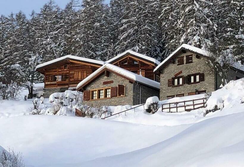 Tiny House Facing The Alps   Ski In, Ski Out