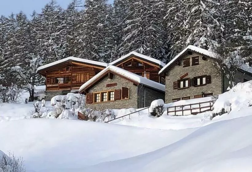 Tiny House Facing The Alps   Ski In, Ski Out