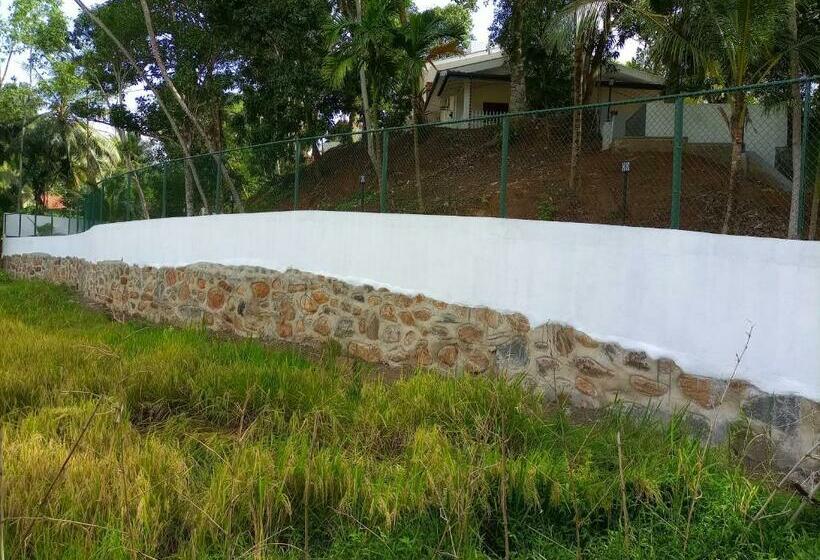 Derick S Paddy Villa