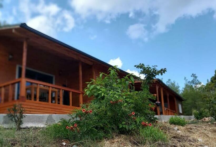 Olympos Terrace Garden