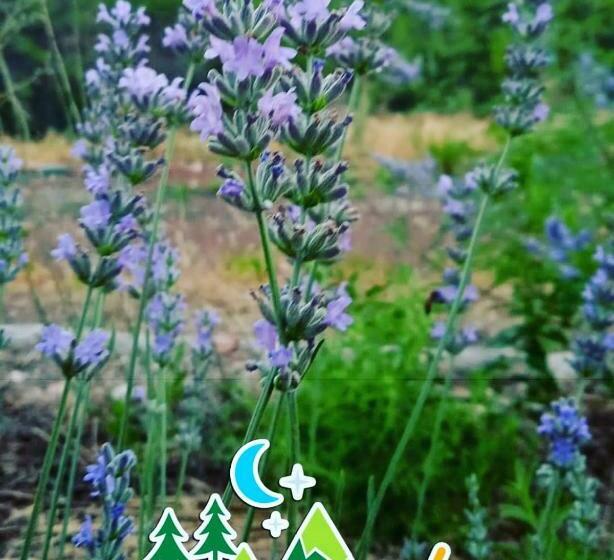 Olympos Terrace Garden
