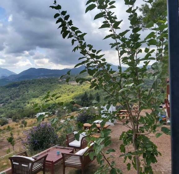 Olympos Terrace Garden