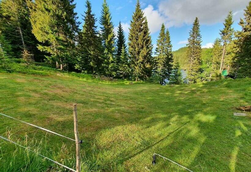 Koselig Hytte Med Flott Beliggenhet