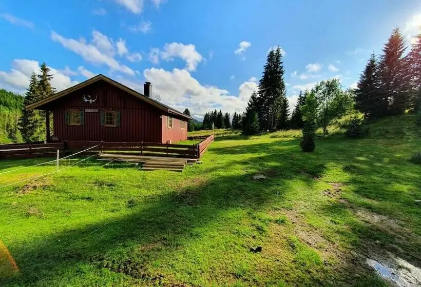 Koselig Hytte Med Flott Beliggenhet