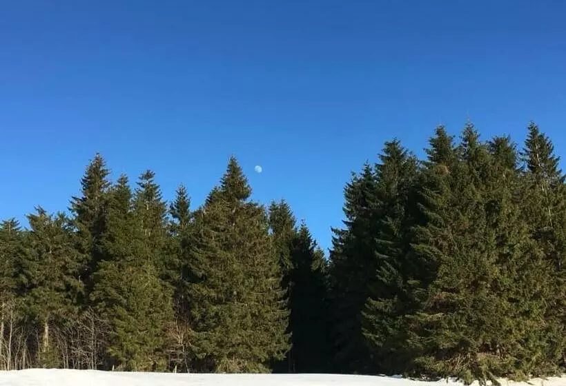 Ubytování U Matěje