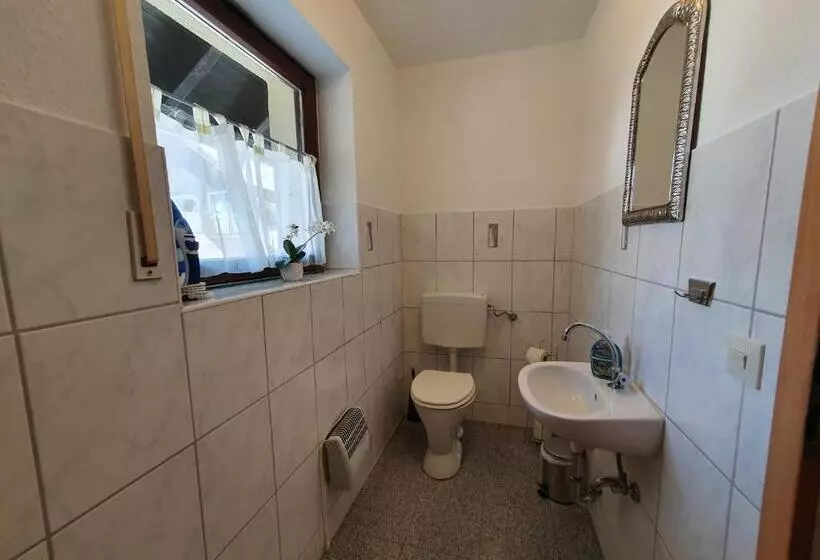 Ferienhaus Sonnengelb Im Herzen Des Schwarzwaldes