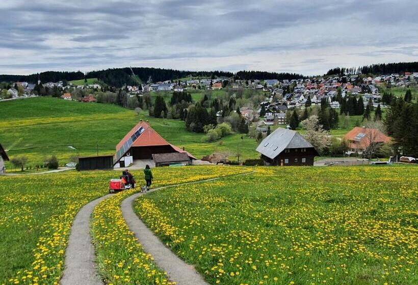 Ferienhaus Sonnengelb Im Herzen Des Schwarzwaldes