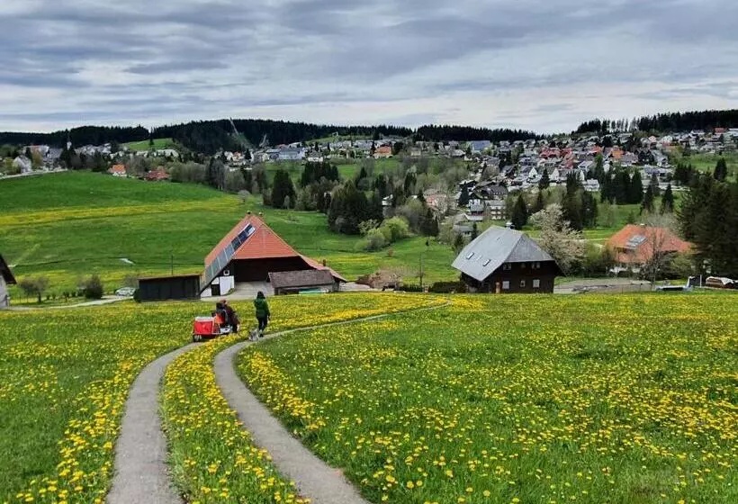 Ferienhaus Sonnengelb Im Herzen Des Schwarzwaldes