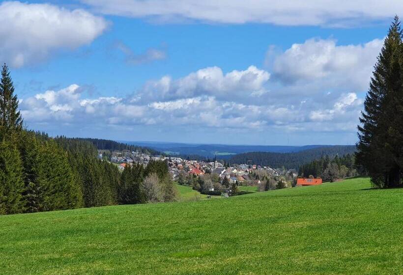 Ferienhaus Sonnengelb Im Herzen Des Schwarzwaldes