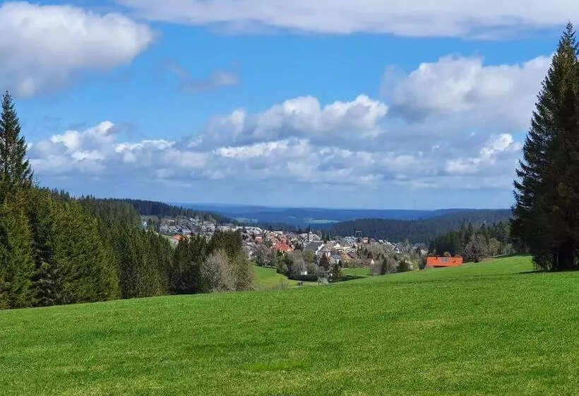 Ferienhaus Sonnengelb Im Herzen Des Schwarzwaldes