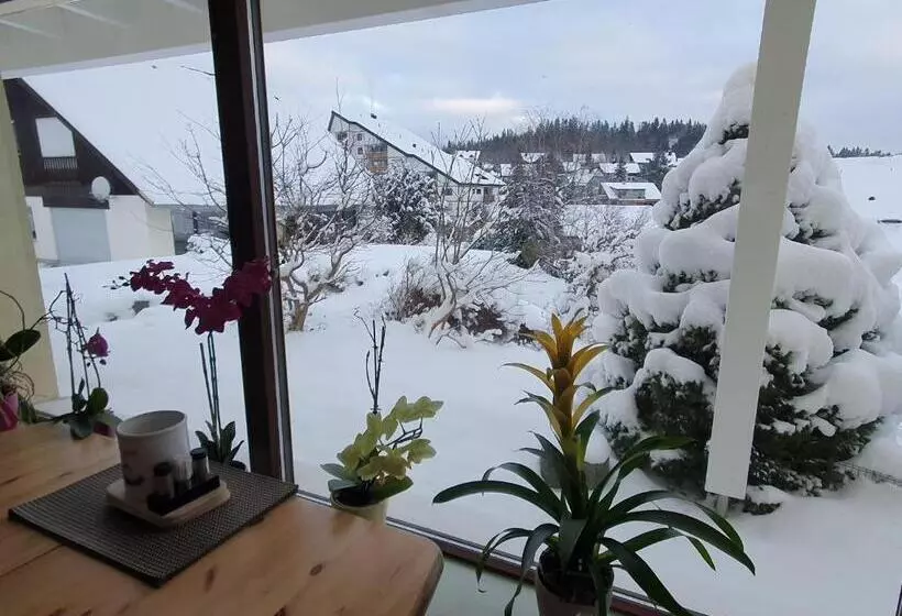 Ferienhaus Sonnengelb Im Herzen Des Schwarzwaldes